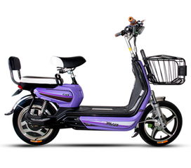 4月15號(hào)電動(dòng)車將實(shí)施新規(guī),你的電動(dòng)車真的安全嗎